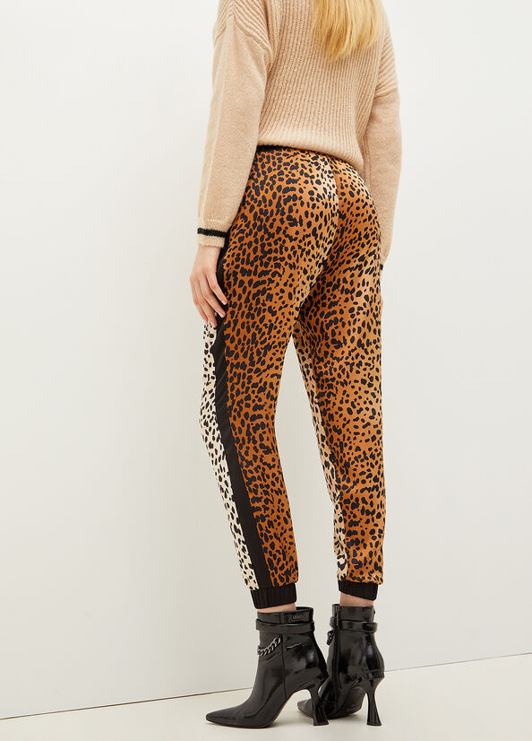 Brown Liu Jo Animal-Print Jogging Women's Pants | HVB-287496