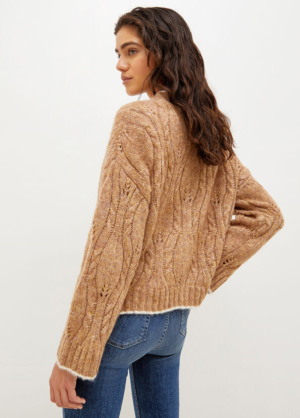 Brown Liu Jo Wool And Alpaca Cardigan Women's Sweaters | LIQ-048537