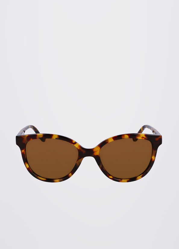 Brown Liu Jo Rectangular Women's Sunglasses | MZE-564278